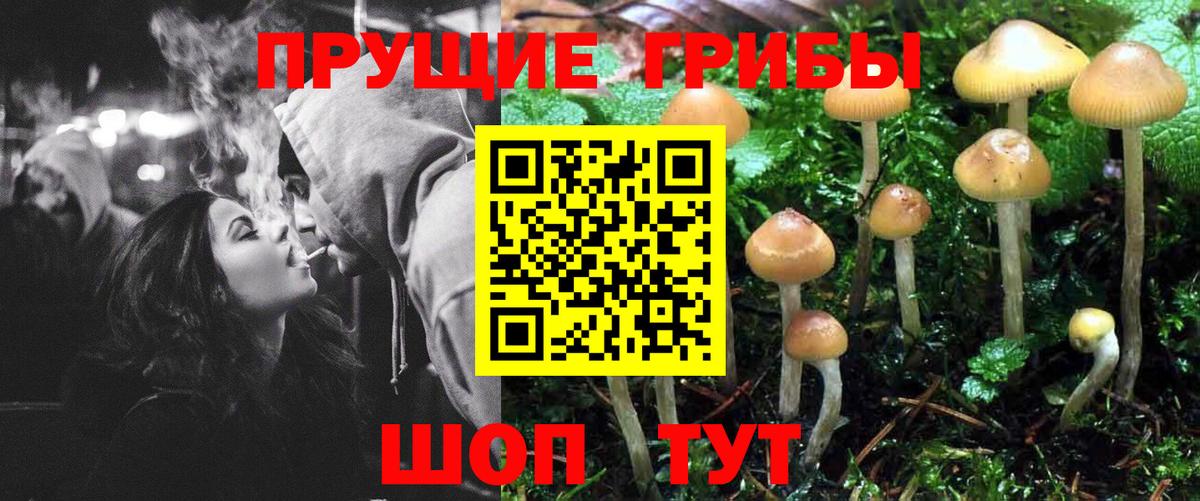 Псилоцибиновые грибы MAGIC MUSHROOMS  Вход с VPN  Кстово  Псилоцибиновые грибы GOLDEN TEACHER 